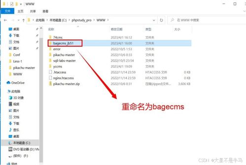 cms网站系统分析 74cms bagecms yccms 漏洞测试