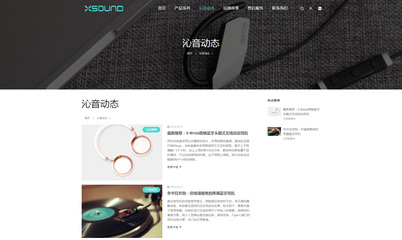 iBrandResponsive黑白简洁响应式产品展示企业网站定制