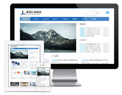 响应式安防协会网站模板易优cms网站源码模板