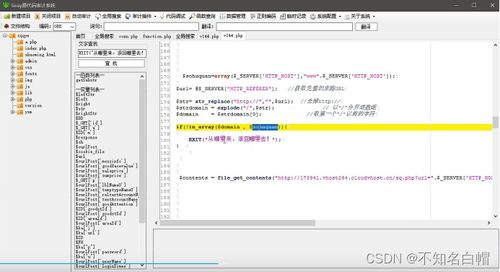 sqqyw 淡然点图标系统 漏洞复现和74cms漏洞复现