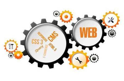 营销型新站快速收录与排名优化 CMS网站的简易指南